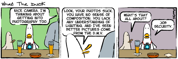 WTD3 What The Duck strip by Aaron Johnson